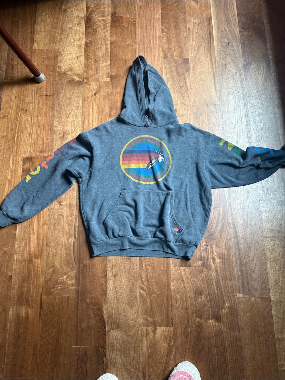 Aviator Nation Charcoal Crewneck Hoodie with Rainbow Circle and Sleeve Stripes
